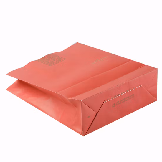 Printed Black Paper Packaging Luxury Shopping Gift Bag with Handle