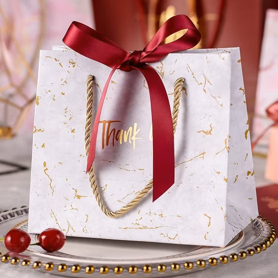 China Factory Wholesale Luxury High Quality Custom PP Handle Paper Shopping Packaging Tote Gift Bags with Ribbon Closed Garment Bag