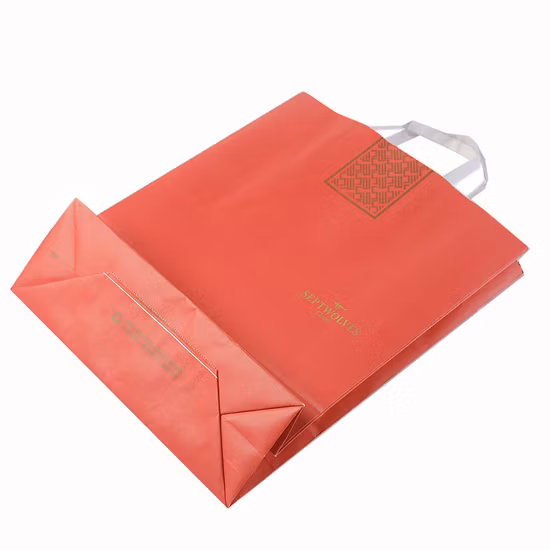 Printed Black Paper Packaging Luxury Shopping Gift Bag with Handle