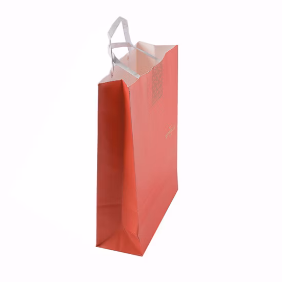 Printed Black Paper Packaging Luxury Shopping Gift Bag with Handle