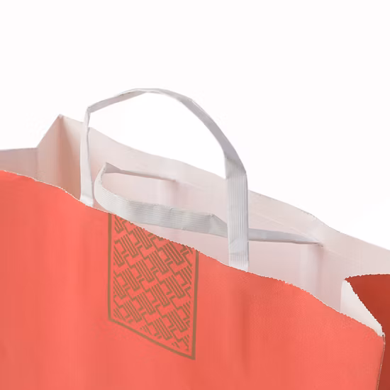 Printed Black Paper Packaging Luxury Shopping Gift Bag with Handle